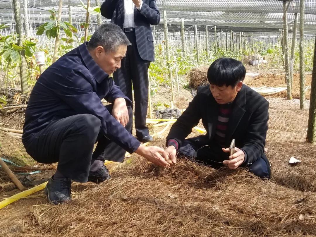 首页- 尊龙集团中国官网入口