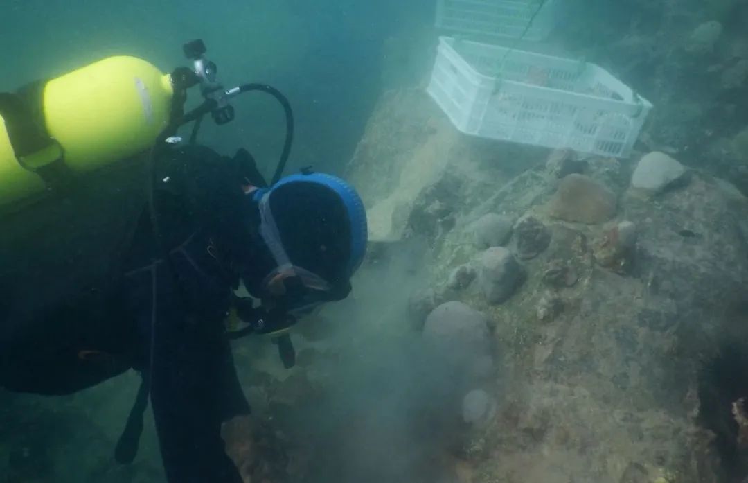 首页- 尊龙集团中国官网入口