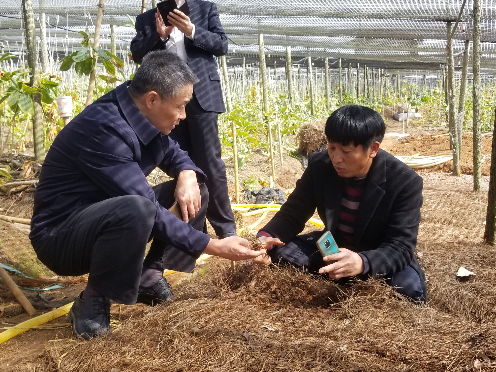 首页- 尊龙集团中国官网入口