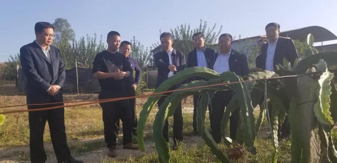 首页- 尊龙集团中国官网入口