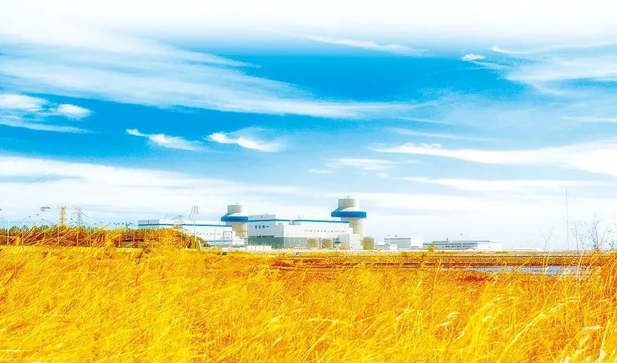 首页- 尊龙集团中国官网入口