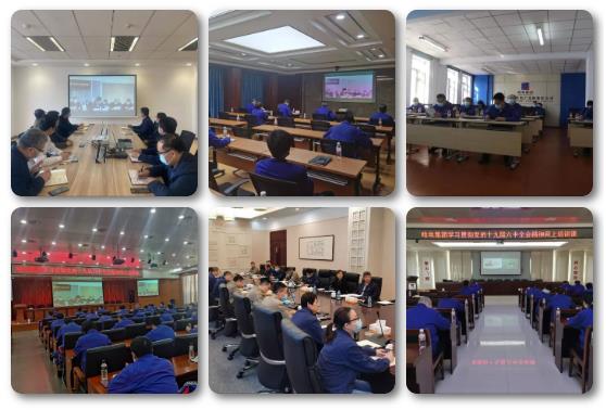 首页- 尊龙集团中国官网入口