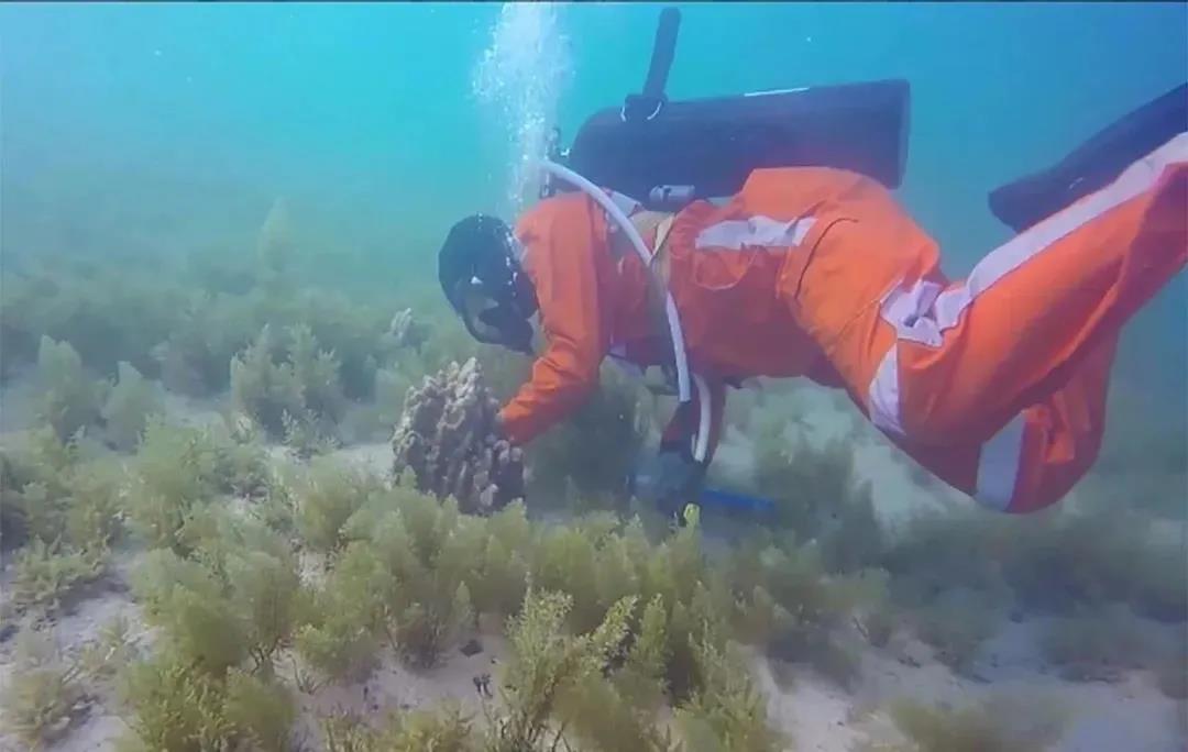 首页- 尊龙集团中国官网入口